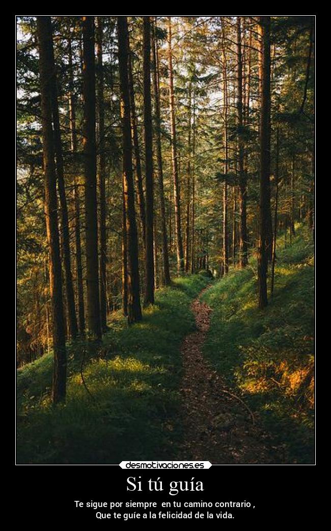 Si tú guía - Te sigue por siempre en tu camino contrario ,
Que te guíe a la felicidad de la vida.