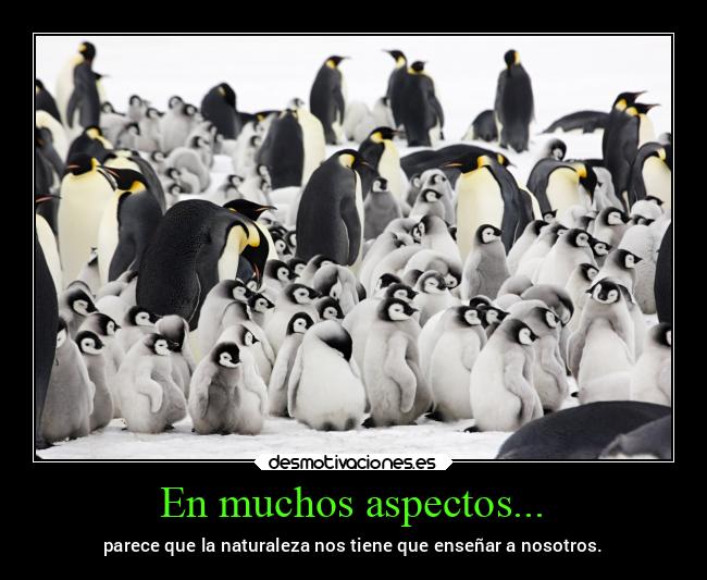 En muchos aspectos... - 