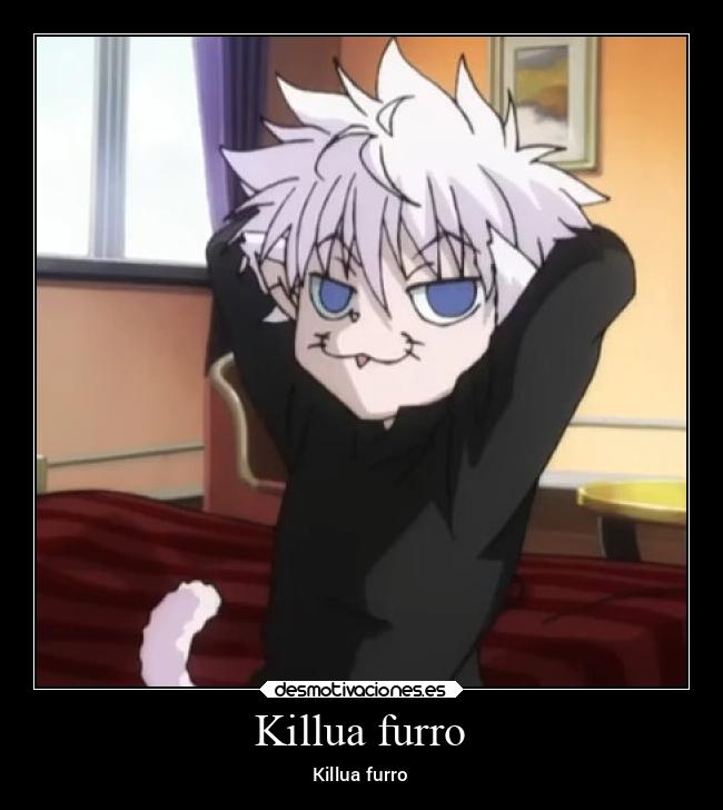 Killua furro -