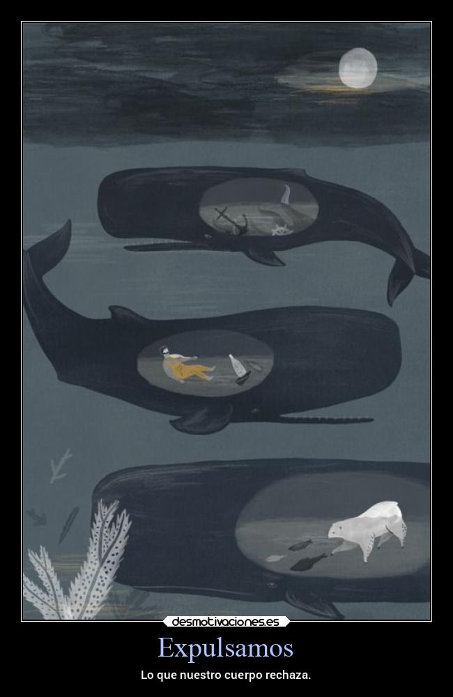 carteles animales rechazar cuerpo ballena escupir tragar humano objetos desmotivaciones