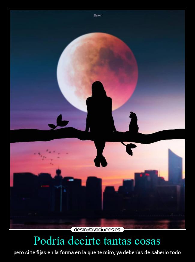 Podría decirte tantas cosas - 