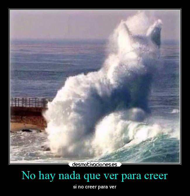 No hay nada que ver para creer - 