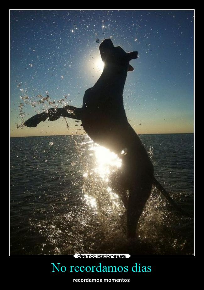 No recordamos días - 