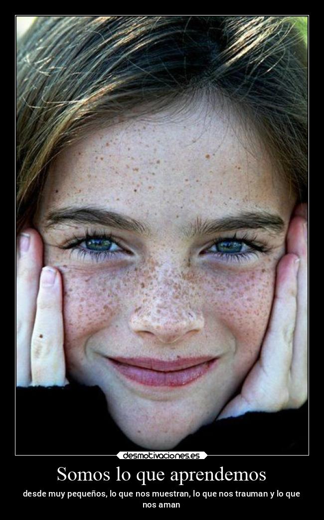Somos lo que aprendemos - 