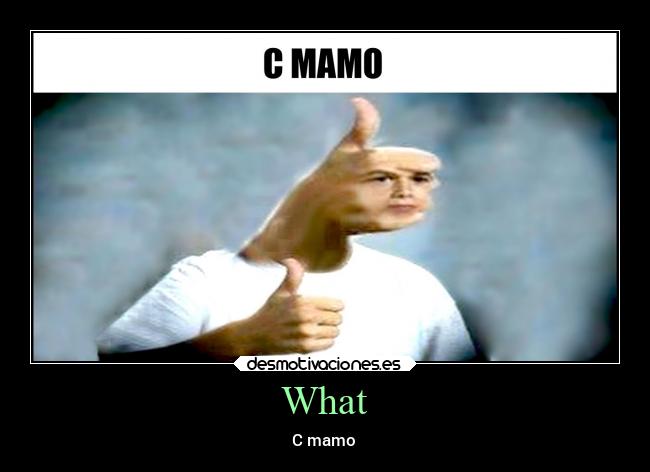 carteles casa mamo desmotivaciones