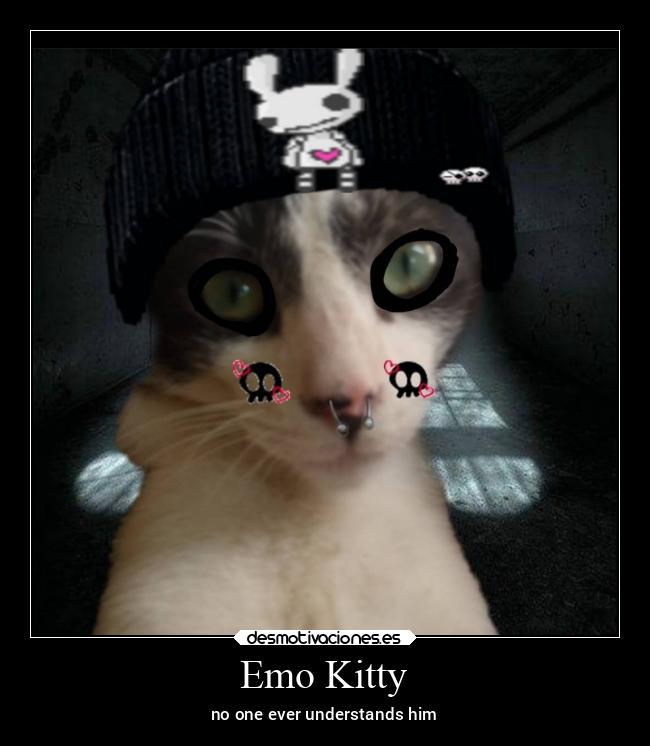 Emo Kitty - no one ever understands him