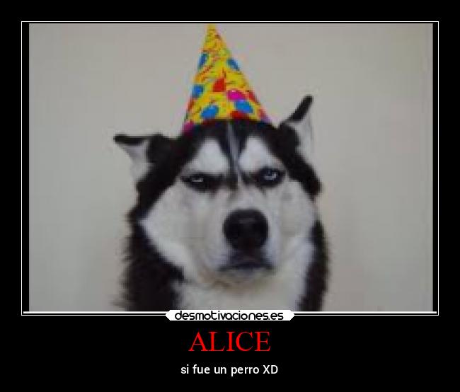 ALICE - si fue un perro XD