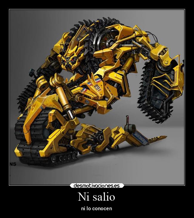 Ni salio - ni lo conocen