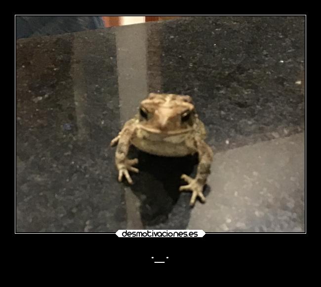 carteles fail desmotivaciones