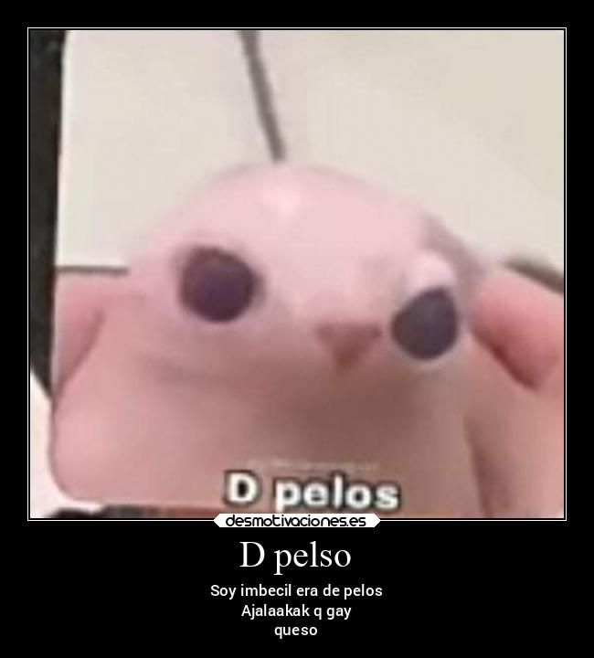 D pelso - Soy imbecil era de pelos
Ajalaakak q gay
queso