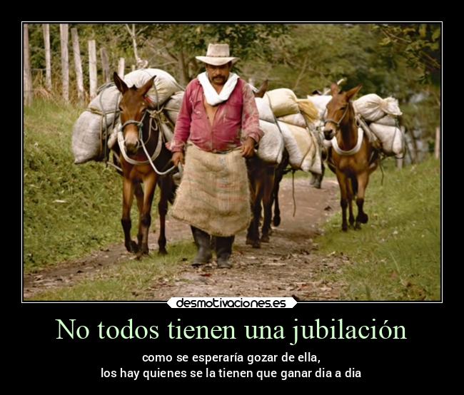 carteles libertad desmotivaciones desmotivaciones