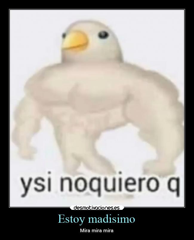 Estoy madisimo - Mira mira mira