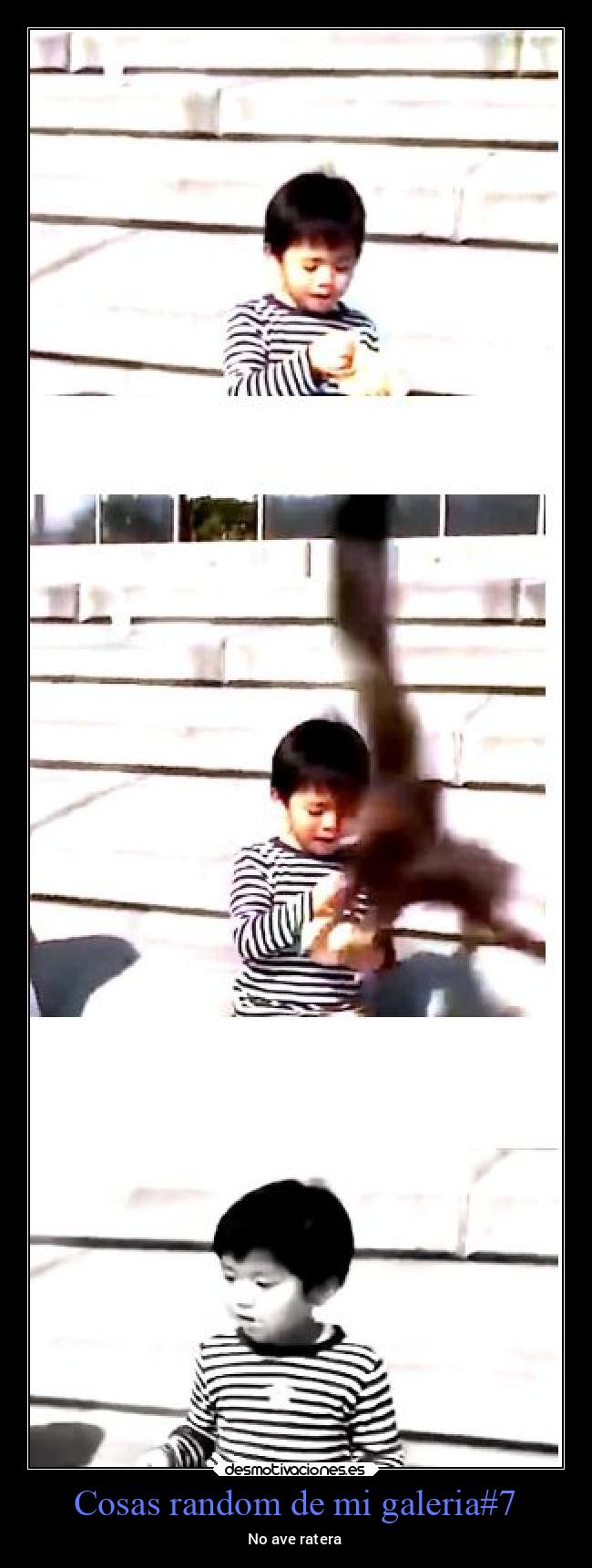 carteles memes desmotivaciones