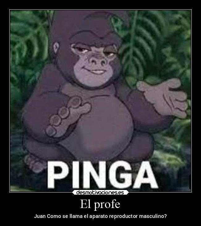 El profe - Juan Como se llama el aparato reproductor masculino?