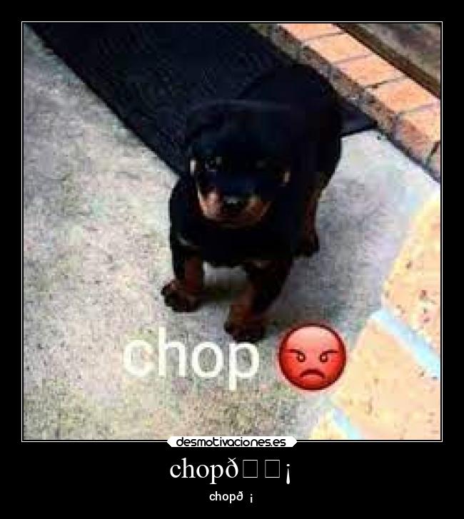 chop😡 -