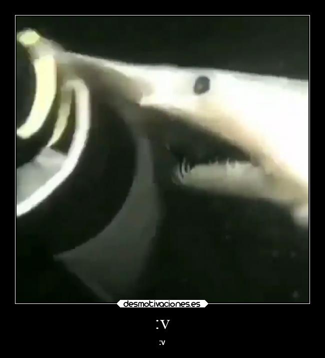 carteles memes desmotivaciones