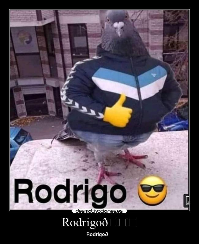 Rodrigo😎 - Rodrigo😎