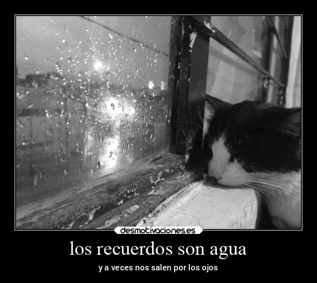 los recuerdos son agua - y a veces nos salen por los ojos