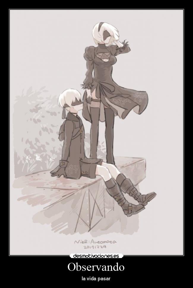 Observando - la vida pasar