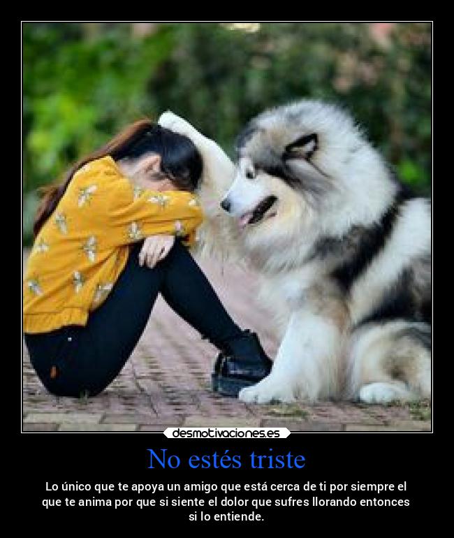 No estés triste - Lo único que te apoya un amigo que está cerca de ti por siempre el
que te anima por que si siente el dolor que sufres llorando entonces
si lo entiende.