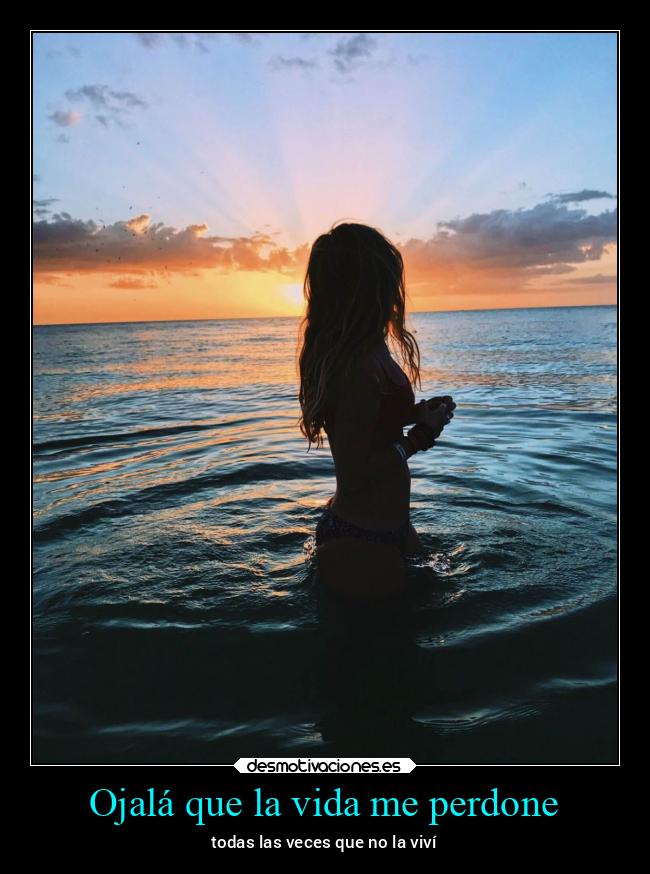 carteles vida amor verano suenos alicea desmoverano2021 desmotivaciones