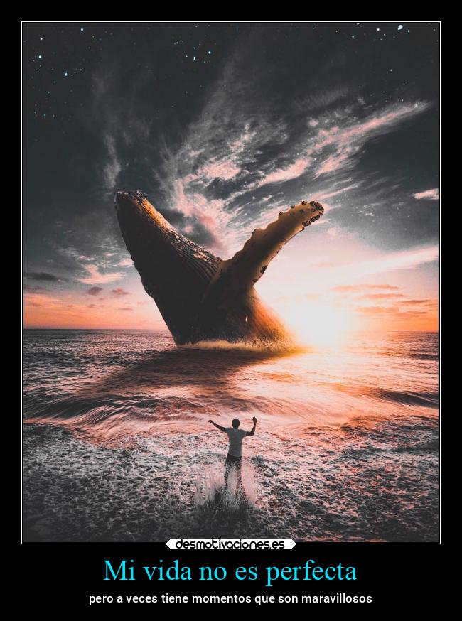 Mi vida no es perfecta - 