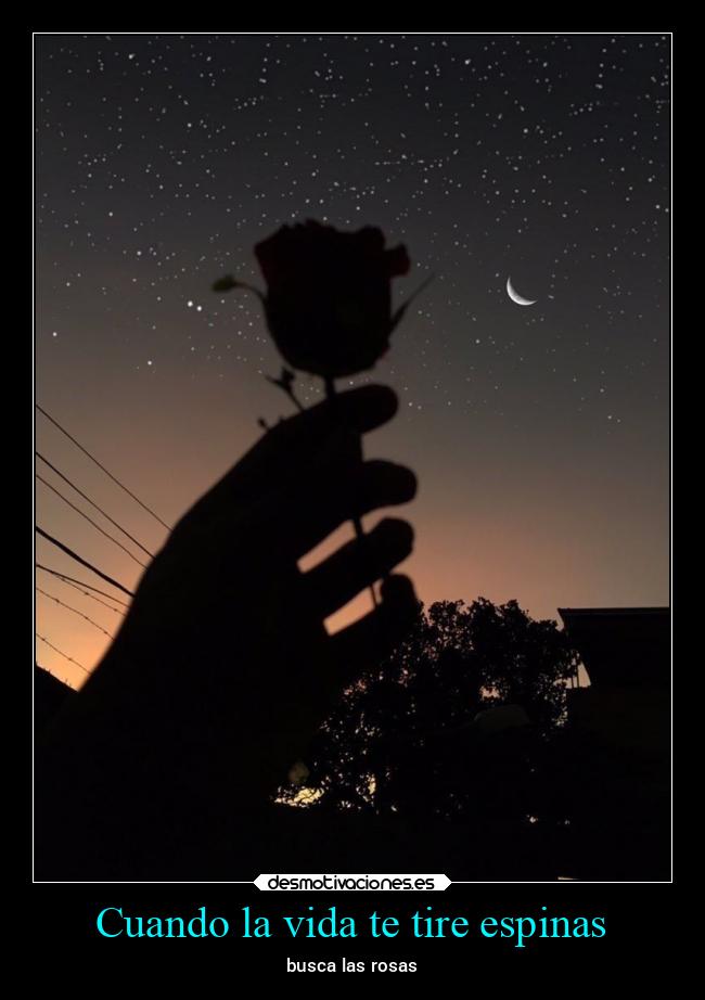 carteles vida arte amor verano vida alicea desmotivaciones