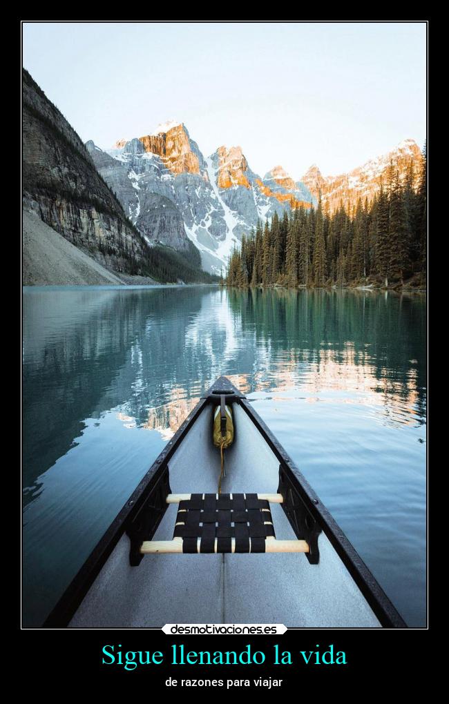Sigue llenando la vida - 