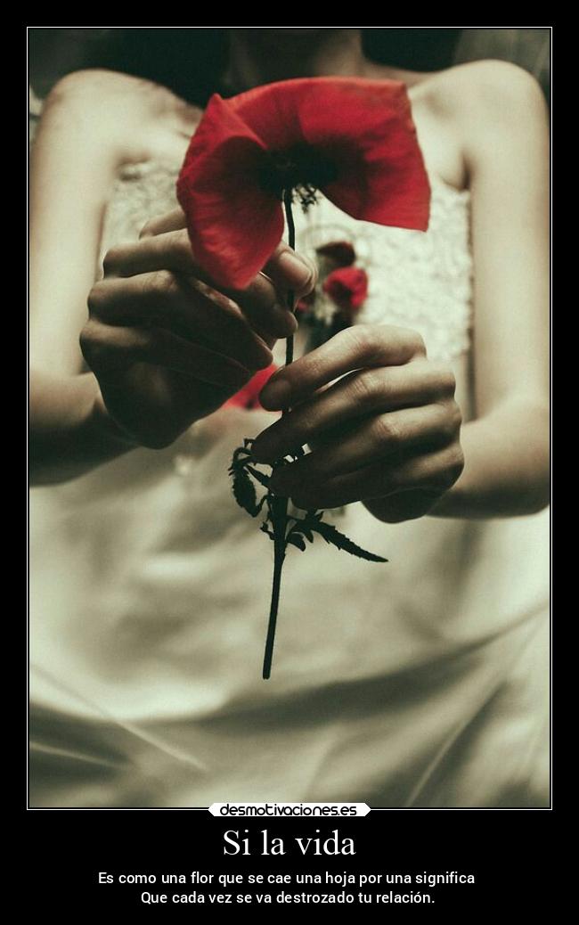 Si la vida - Es como una flor que se cae una hoja por una significa 
Que cada vez se va destrozado tu relación.