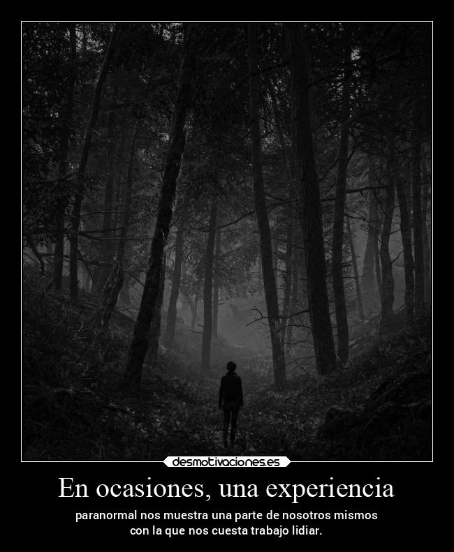 carteles vida kurara7 soyunapanda elcementerio edylorrainewarren desmotivaciones