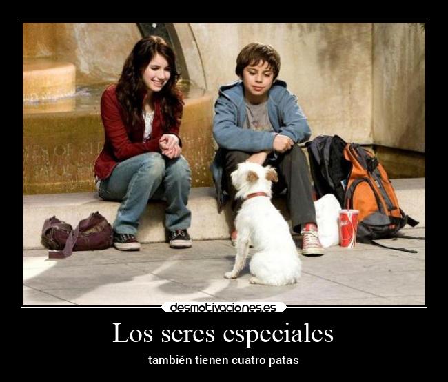 Los seres especiales - también tienen cuatro patas