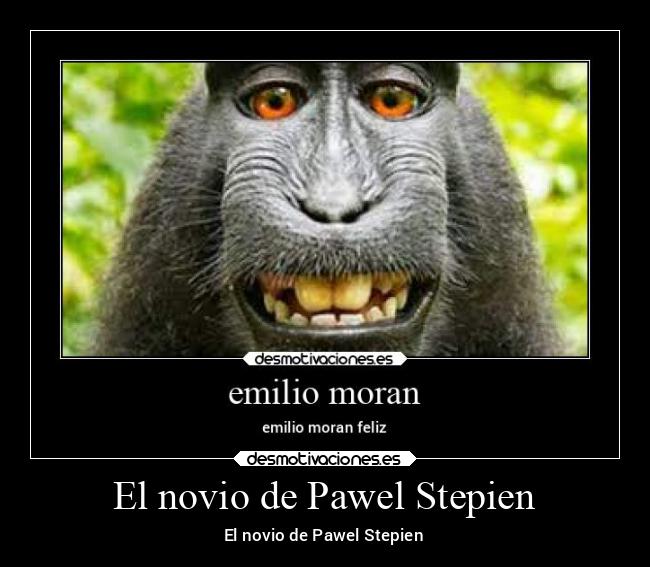El novio de Pawel Stepien - El novio de Pawel Stepien