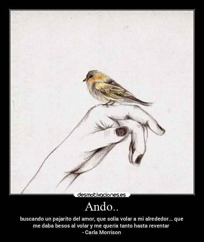 Ando.. - buscando un pajarito del amor, que solía volar a mi alrededor... que
me daba besos al volar y me quería tanto hasta reventar
- Carla Morrison
