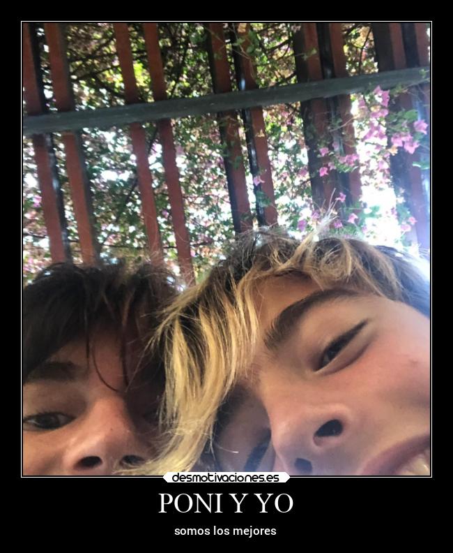 carteles alegria mucho que quiero amigo poni desmotivaciones