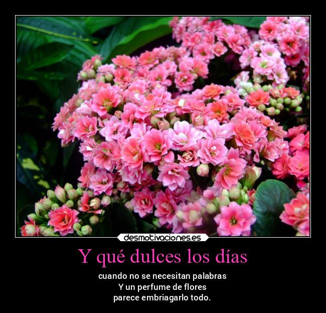 Y qué dulces los días - cuando no se necesitan palabras
Y un perfume de flores
parece embriagarlo todo.