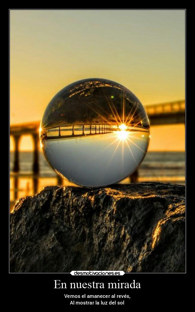 carteles alma corazon desmoverano2021 desmotivaciones