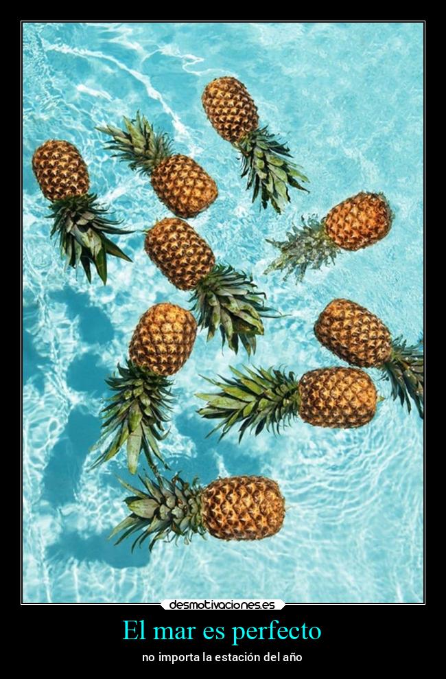 El mar es perfecto - 