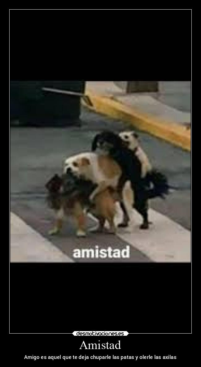 Amistad - Amigo es aquel que te deja chuparle las patas y olerle las axilas
