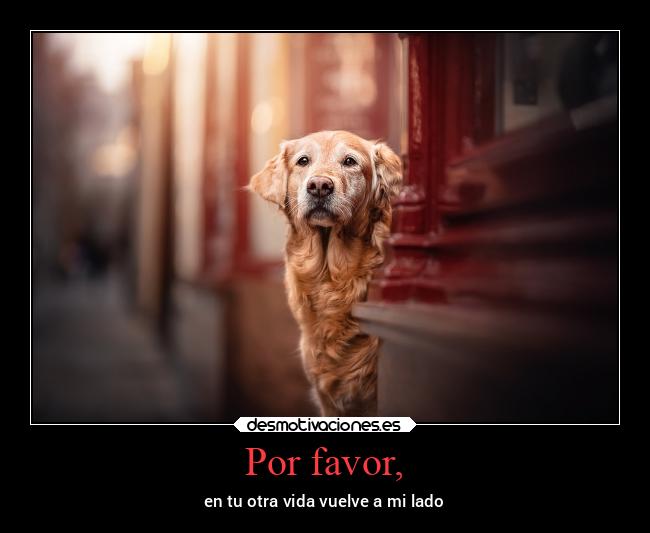 Por favor, -