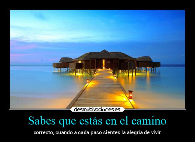 Sabes que estás en el camino - 