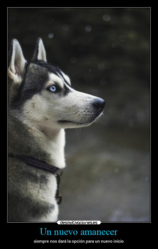 Un nuevo amanecer - 