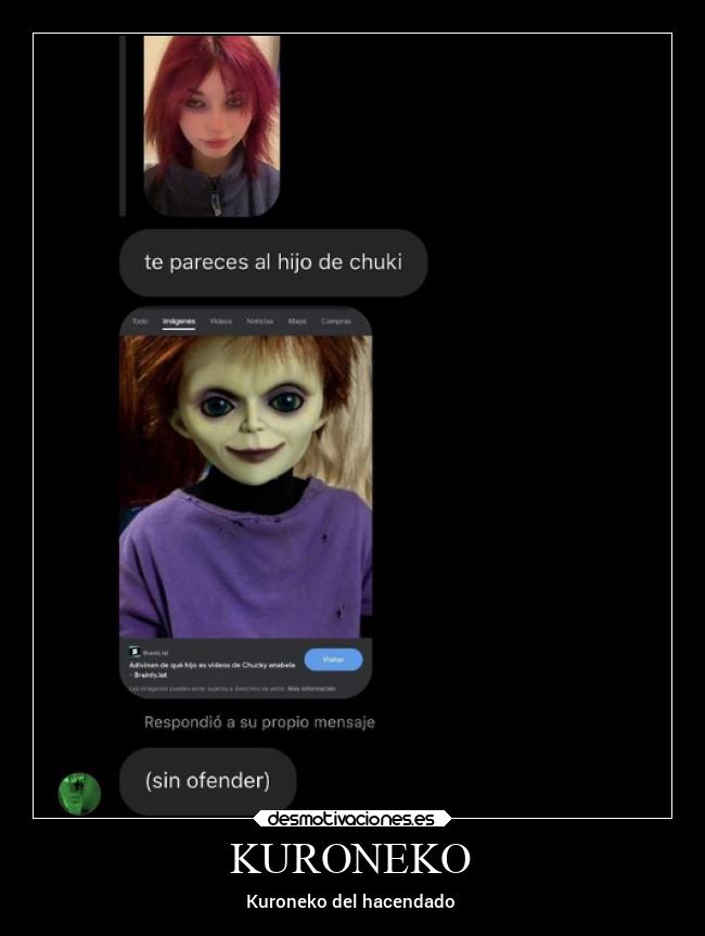 KURONEKO - Kuroneko del hacendado