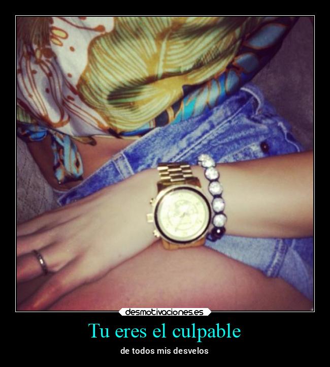 Tu eres el culpable - 