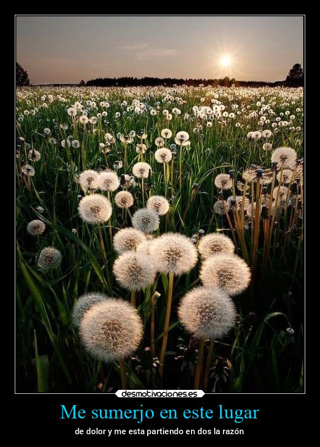 Me sumerjo en este lugar - 