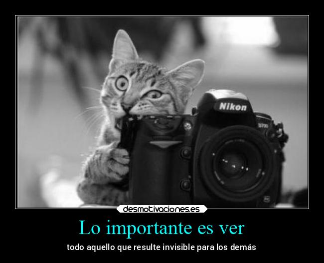 Lo importante es ver - 