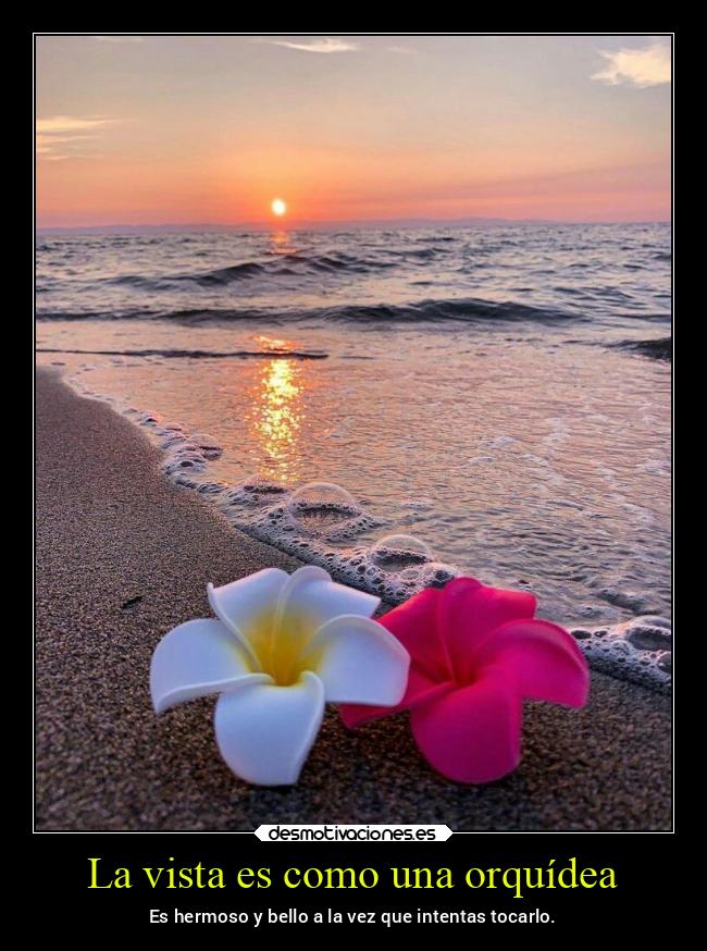 carteles arte corazon deseos orquidea mar desmoverano2021 desmotivaciones