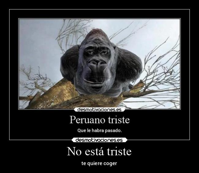 No está triste - te quiere coger