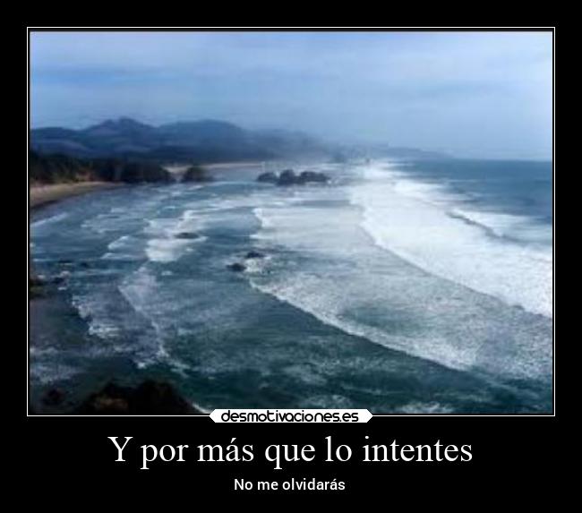 carteles ayuda animales desmoverano2021 desmotivaciones