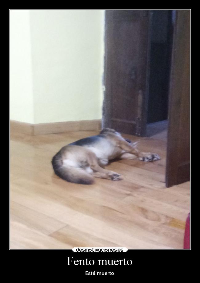 carteles bogota desmotivaciones