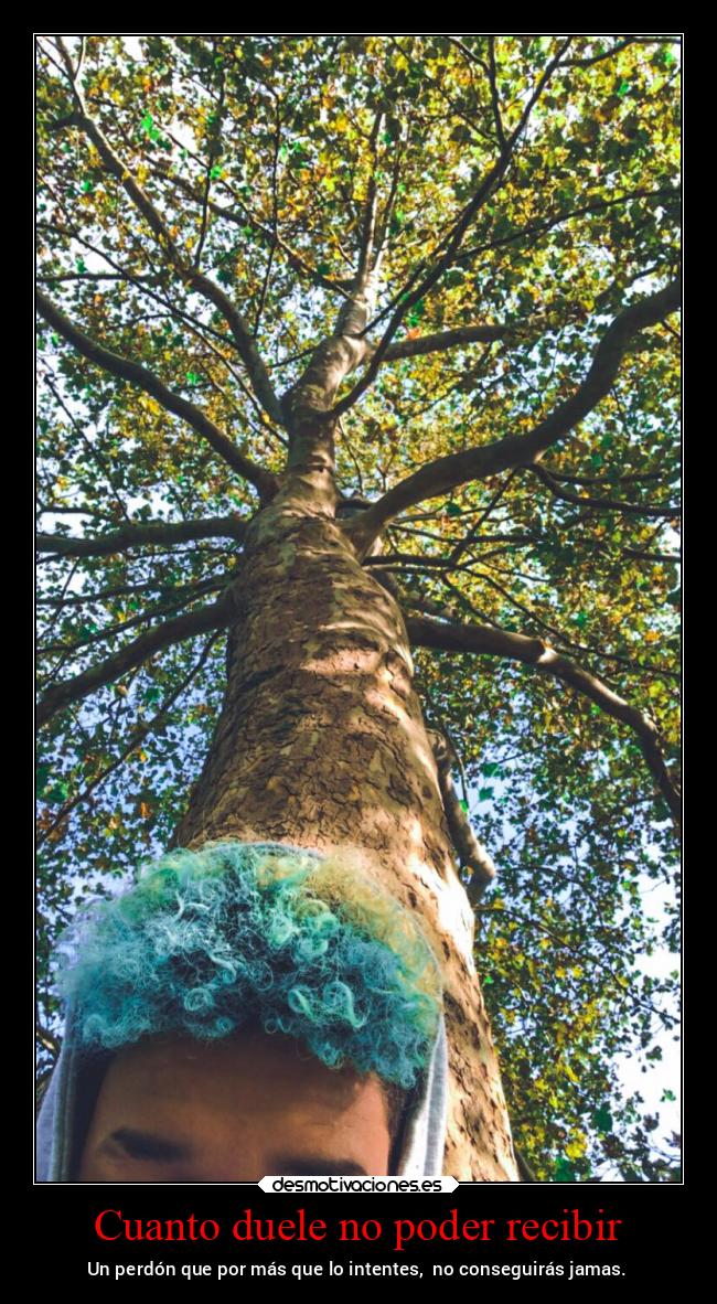 carteles enemigo orgullo paso perdon desmotivaciones